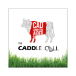 The CADDle Call podcast by ZenTek Consultants