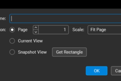 Place dialog in Bluebeam Revu