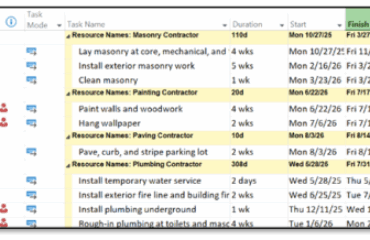 Microsoft Project: Creating Custom Views