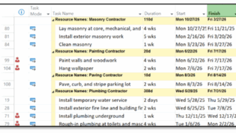 Microsoft Project: Creating Custom Views