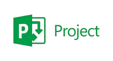 Microsoft Project Professional