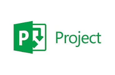 Microsoft Project Professional