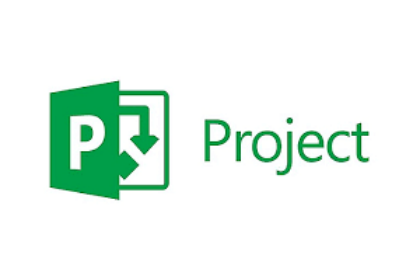 Microsoft Project Professional