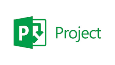 Microsoft Project Professional